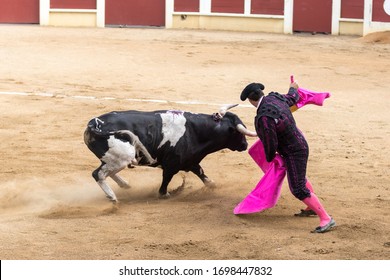Traditional Bullfighting and corrida, matador and bull