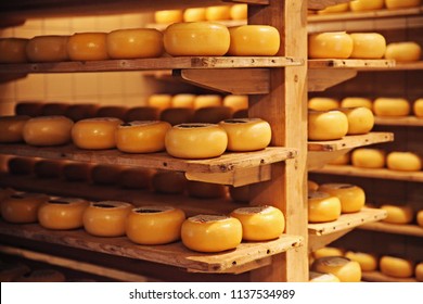 Traditional Cheese Factory At Holland