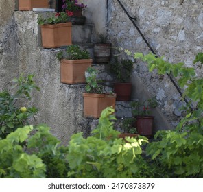 Traditional clay pots with plants and flowers on a stone stairway in Nafplio, Peloponnese Greece.  - Powered by Shutterstock