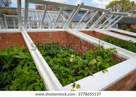 Traditional cold frames (also known as hotbeds) – a brick-built version in the Victorian style. They function as mini-greenhouses to significantly extend the outdoor growing season