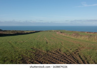 Traditional Cornish Cliff Top Farm Land By The Rural Village Of Trevalga On The South West Coast Path Between Boscastle And Tintagel On The North  Cornwall Coast,England, UK