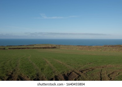 Traditional Cornish Cliff Top Farm Land By The Rural Village Of Trevalga On The South West Coast Path Between Boscastle And Tintagel On The North  Cornwall Coast,England, UK