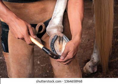 Traditional craftsmen - a farrier or blacksmith hammering the nail when shoeing the horse hoof at ranch. 