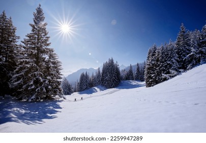 Traditional cross-country skiing sport in a wintery snowy landscape with alpine mountain panorama in the Bavarian Alps on a sunny day.