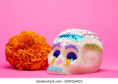 Traditional decorated sugar skull or Catrina by a cempasuchil flower over a pink background, day of the dead celebration.