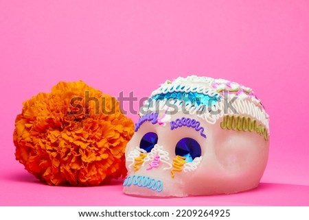 Traditional decorated sugar skull or Catrina by a cempasuchil flower over a pink background, day of the dead celebration.