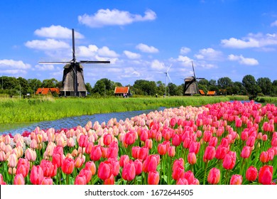 Traditional Dutch windmills along a canal with pink tulip flowers in the foreground, Netherlands