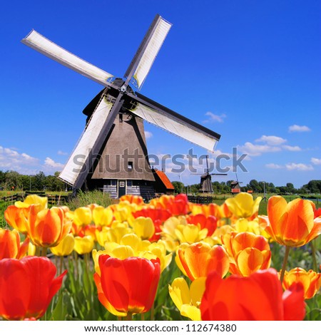 Traditional Dutch windmills with vibrant tulips in the foreground, The Netherlands