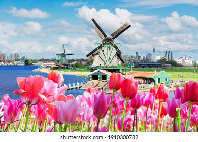 traditional Dutch windmills of Zaanse Schans over water at spring, Netherlands and flowers