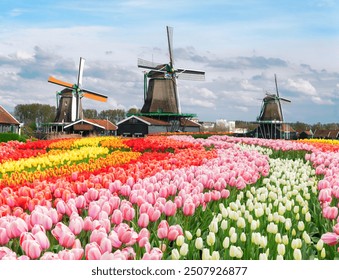 traditional Dutch windmills of Zaanse Schans over water at summer sunset, Netherlands - Powered by Shutterstock