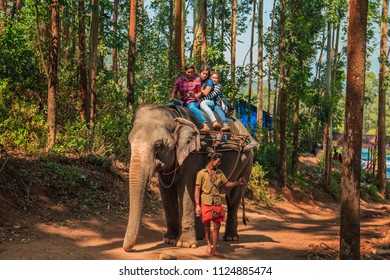 179 Elephant ride kerala Stock Photos, Images & Photography | Shutterstock