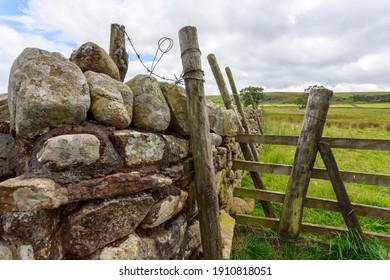 Traditional English Stonewall On Farmland In Tees Valley, County Durham