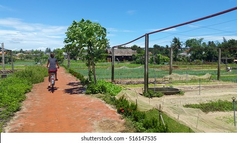 traditional fields in Vietnam