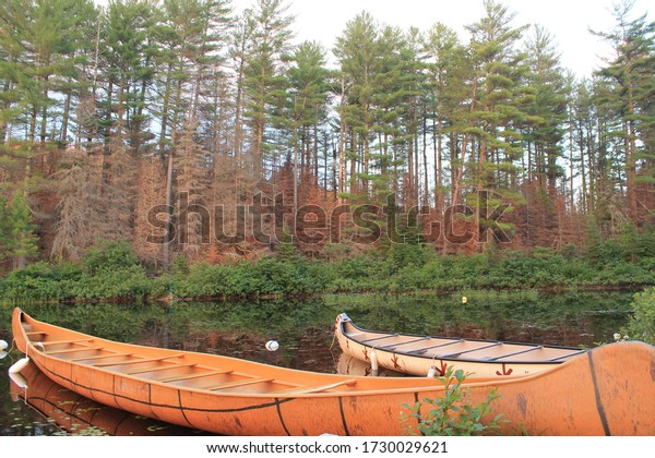 Traditional first nation\
canoe in Canada