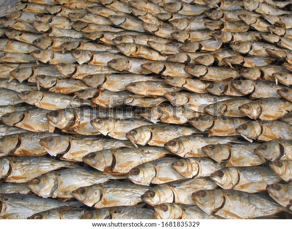 Traditional Fish Drying Casamance Region Senegal Stock Photo Edit Now