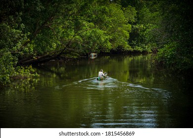 Traditional Fisherman Go To Middle Of Mangrove Swamp To Fishing