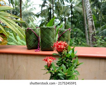 A Traditional Flower Pot For Plucking Flowers