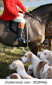 Traditional Fox Hunting