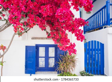 Traditional greek house with bougainvillea flowers in Paros island, Cyclades, Greece - Powered by Shutterstock