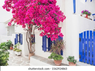 Traditional greek house with flowers in Paros island, Cyclades, Greece