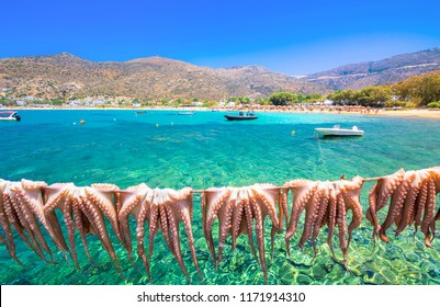 Traditional greek sea food, octopus, drying in the sun, Milopotas, Ios island, Cyclades, Greece - Shutterstock ID 1171914310