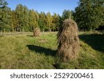 Traditional haystacks on a field at Kovero Heritage Farm in Seitseminen National Park, Ikaalinen, Finland.