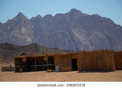 Traditional home or meeting room of Bedouin's people constructed by palm leaves and dry wood. It can be used as a natural pharmacy where everything is made from natural resources which Bedouin colect.