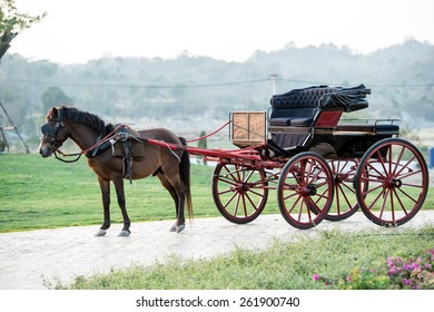 Horse Pulling Stock Photos Images Photography Shutterstock