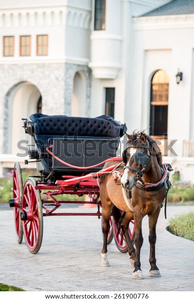 Traditional Horse Carriage Lampang Thailandhorse Ride Stock Photo