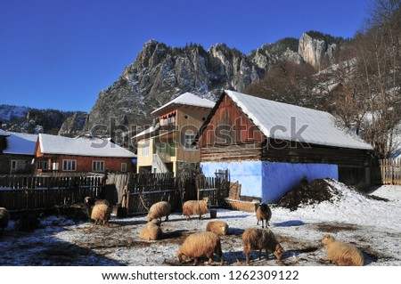 Traditional house and animal shelter in bicaz,romania Imagine de stoc © 