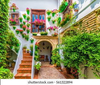 Traditional house and courts with flower in Cordoba, Spain - Shutterstock ID 561322894