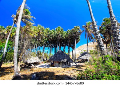 An Traditional House At Sabu Island Indonesia