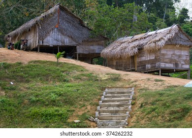 72 Aboriginal canoe tree Images, Stock Photos & Vectors | Shutterstock