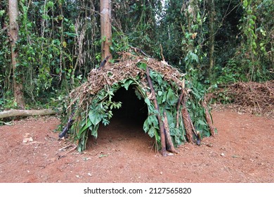 Traditional hut in Baka Pygmy's tribe, Dja Reserve, Cameroon - Shutterstock ID 2127565820