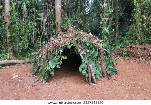 Traditional hut in Baka Pygmy\'s tribe, Dja\
Reserve, Cameroon