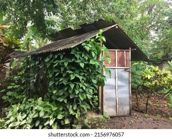 Traditional hut house with vines on the wall