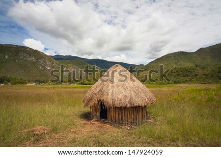 Traditional huts Papuans in Wamena, Papua New Guinea Island, Indonesia