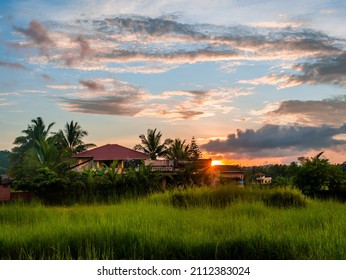Traditional Indian village house surrounded by green grass and beautiful sunset clouds. Village landscape.