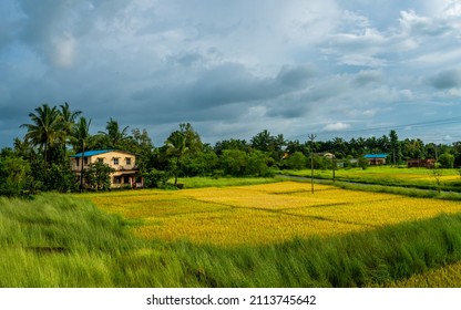 Traditional Indian village house surrounded by green grass and beatiful cloudy sky. Village landscape.