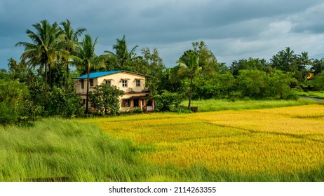 Traditional Indian village house surrounded by green grass and beatiful cloudy sky. Village landscape.