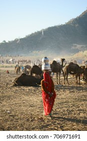 A Traditional Indian Women Carrying Water Home.