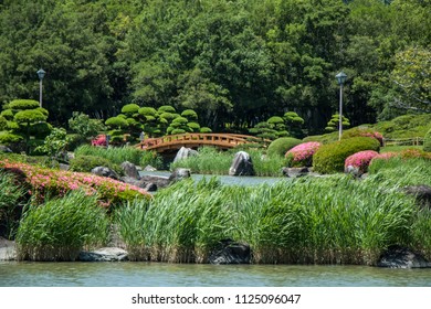 Waterside Garden Images Stock Photos Vectors Shutterstock