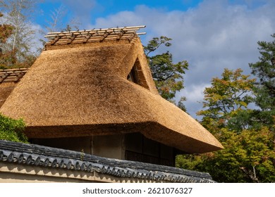 Traditional Japanese house roof thatched - Powered by Shutterstock - Get 15% off with code: PIKWIZARD15