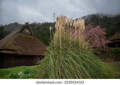 Traditional Japanese houses at Miyama, a rural village in the north of Kyoto. The area is famous for its traditional, thatched roof (kayabuki) farmhouses.