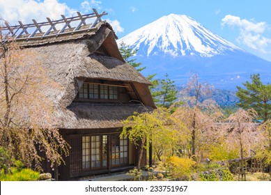 Traditional Japanese hut and Sakura or cherry blossom near Mt. Fuji, Japan in spring season.
