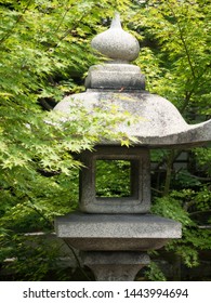 Traditional Japanese stone lantern surrounded by fresh green momiji maple leaves in the garden of a small Buddhist temple in Kyoto, Japan