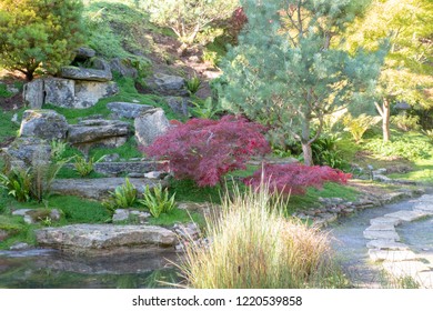 Traditional Japanese Style  Garden Located In The UK