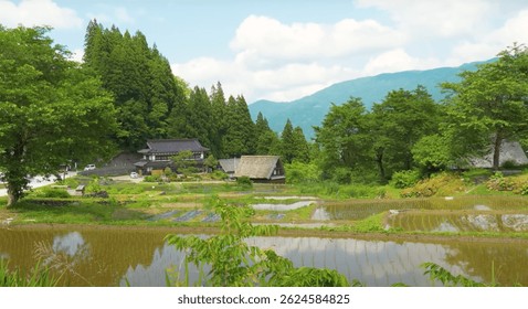Traditional Japanese village with rice paddies and thatched-roof houses set against forested hills and mountains under a bright sky.