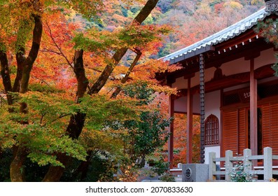 A traditional Japanese wooden building with a rain chain surrounded by colorful maple trees in the garden of Hogon-in (宝厳院) Buddhist Temple, which is famous for fall colors, in Arashiyama, Kyoto Japan