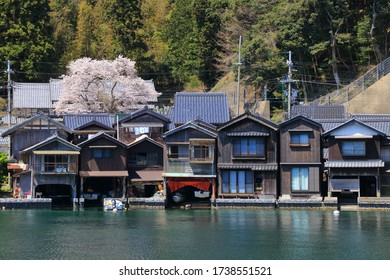 The traditional Japanese wooden fishing houses, Funaya, in Ine, Kyoto, Japan. Each house has a dock for the boat. A cherry tree in full blossoming.